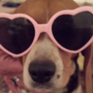 Meet your Posher, Cassandra