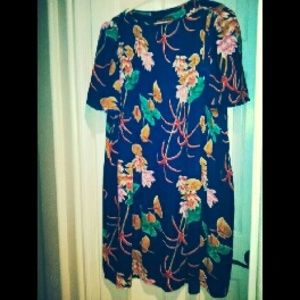 Plus Size Sheer Dress