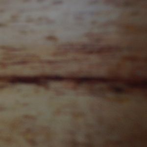 Meet your Posher, Judy