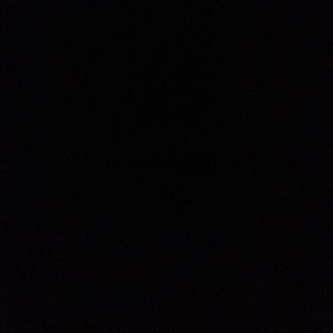 Meet your Posher, Harley