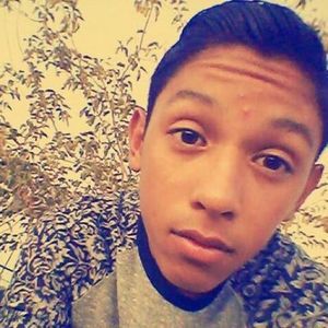 Meet your Posher, Moises