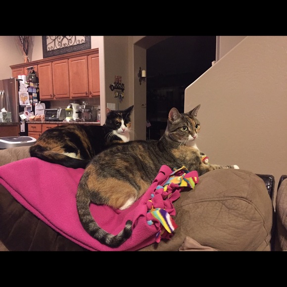 Meet your Posher, Jennifer - Picture 1 of 1