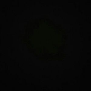 Meet your Posher, Jaime