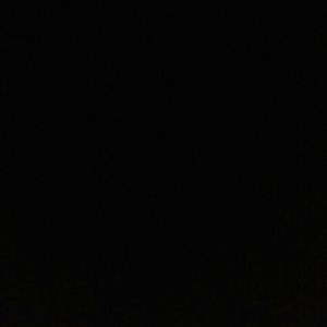 Meet your Posher, Frankie