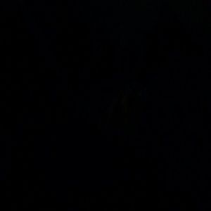 Meet your Posher, Janeisia