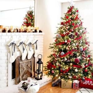 Meet your Posher, Barry-diana