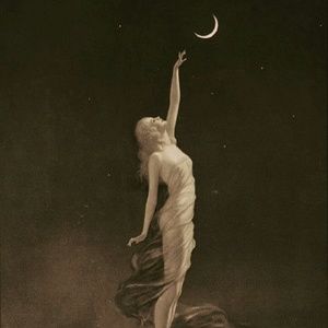 Meet your Posher, Shiloh