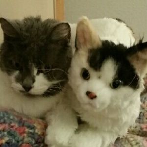 Meet your Posher, Kerry