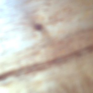 Meet your Posher, Eddie