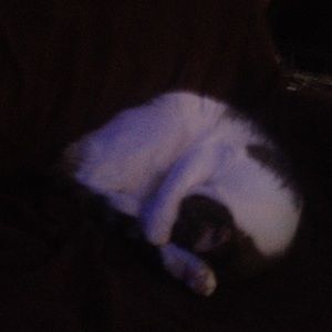 Meet your Posher, Omar