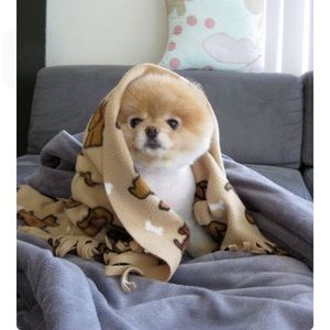 Meet your Posher, Paula