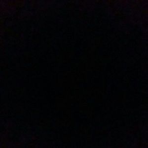 Meet your Posher, Lola