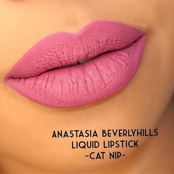 Anastasia Beverly Hills Other - SALE!! ABH Catnip liquid lipstick