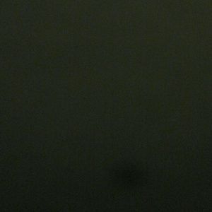 Meet your Posher, Ana