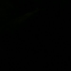 Meet your Posher, Cassidy