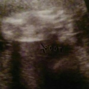 Meet your Posher, Noelle