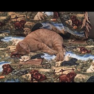 Meet your Posher, Lucinda