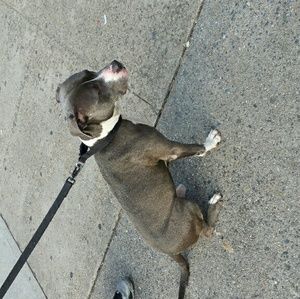 Meet your Posher, Candy