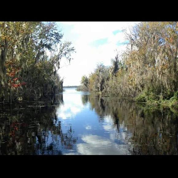 Meet your Posher, Ryan - Picture 1 of 1