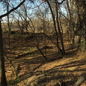 Meet your Posher, Sheri