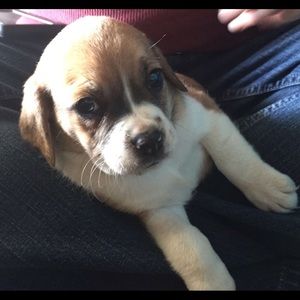 Meet your Posher, Becky