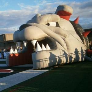 Meet your Posher, Shannon