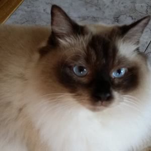 Meet your Posher, Sherry