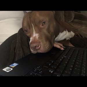 Meet your Posher, Tanya