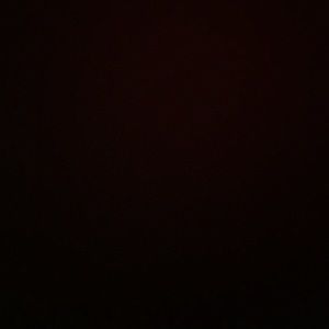 Meet your Posher, Lola