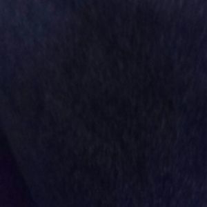 Meet your Posher, Corey