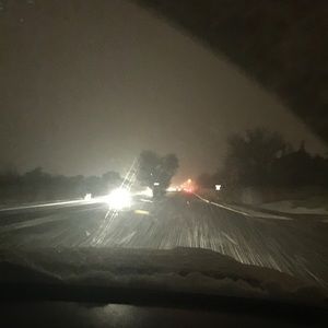 Meet your Posher, Rose