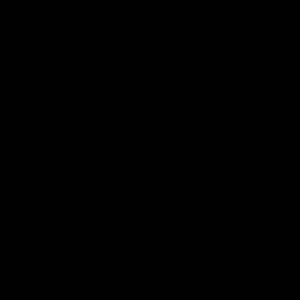 Meet your Posher, Audra