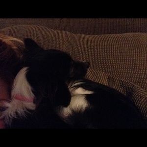 Meet your Posher, Jami