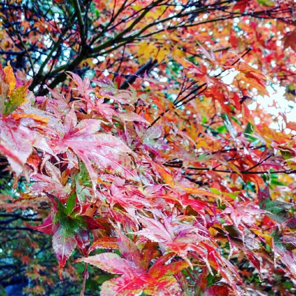 Meet your Posher, Gaby