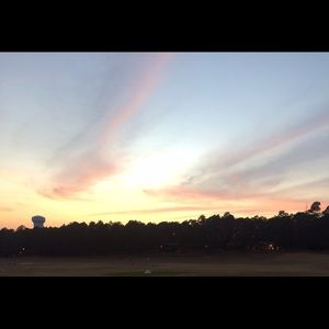 Meet your Posher, Lexi