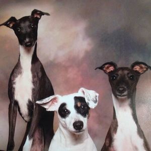 Meet your Posher, Sheila