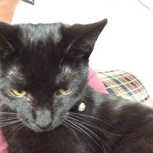 Meet your Posher, Madeline