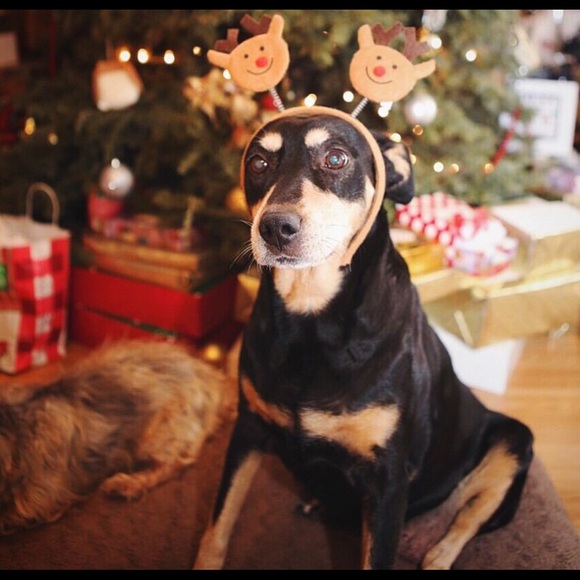 Meet your Posher, Christine - Picture 1 of 1