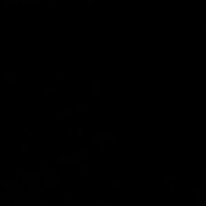 Meet your Posher, Lenon