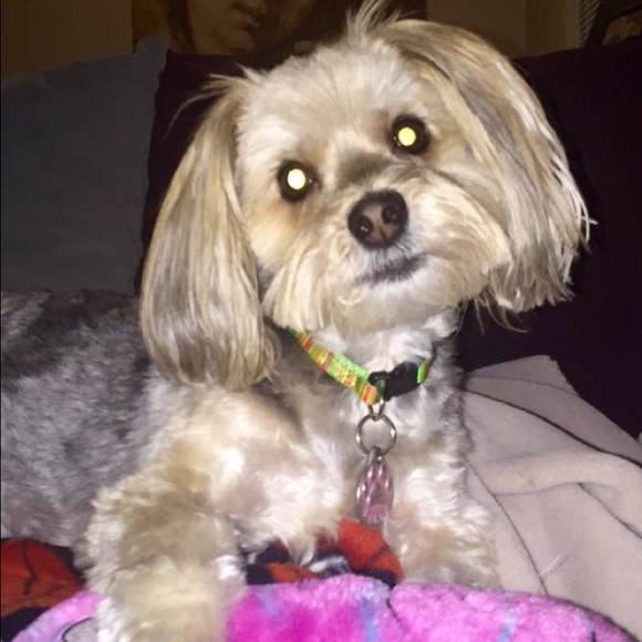 Meet your Posher, Stacie - Picture 1 of 1