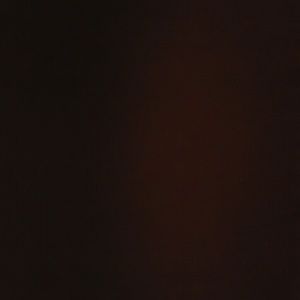 Meet your Posher, Travis