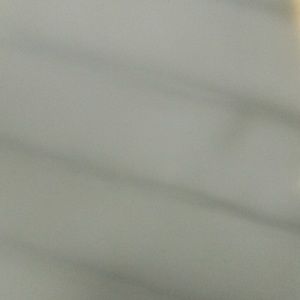 Meet your Posher, Shantavia