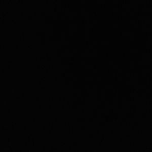 Meet your Posher, Gary