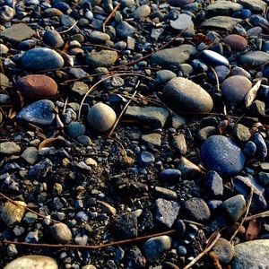 Meet your Posher, Therese