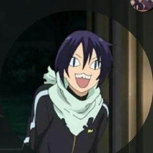 Meet your Posher, Mahnosh