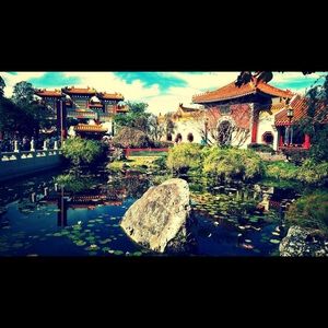 Meet your Posher, Emma