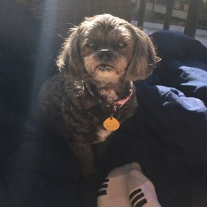 Meet your Posher, Fran