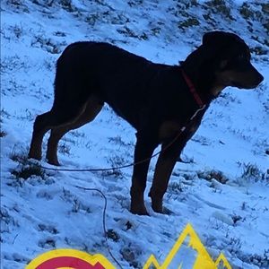 Meet your Posher, Ciera