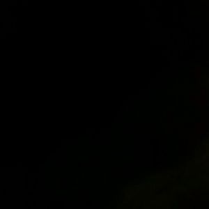 Meet your Posher, Trey