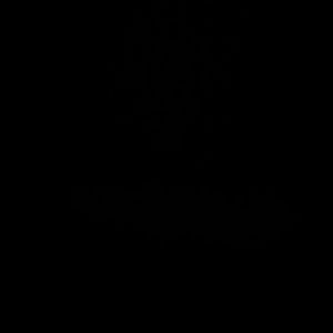 Meet your Posher, Sixto